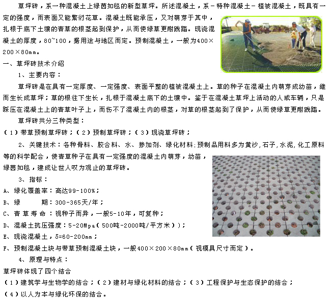 草坪磚